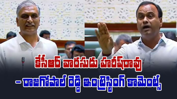 mla rajagopal reddy interesting comments on harish rao